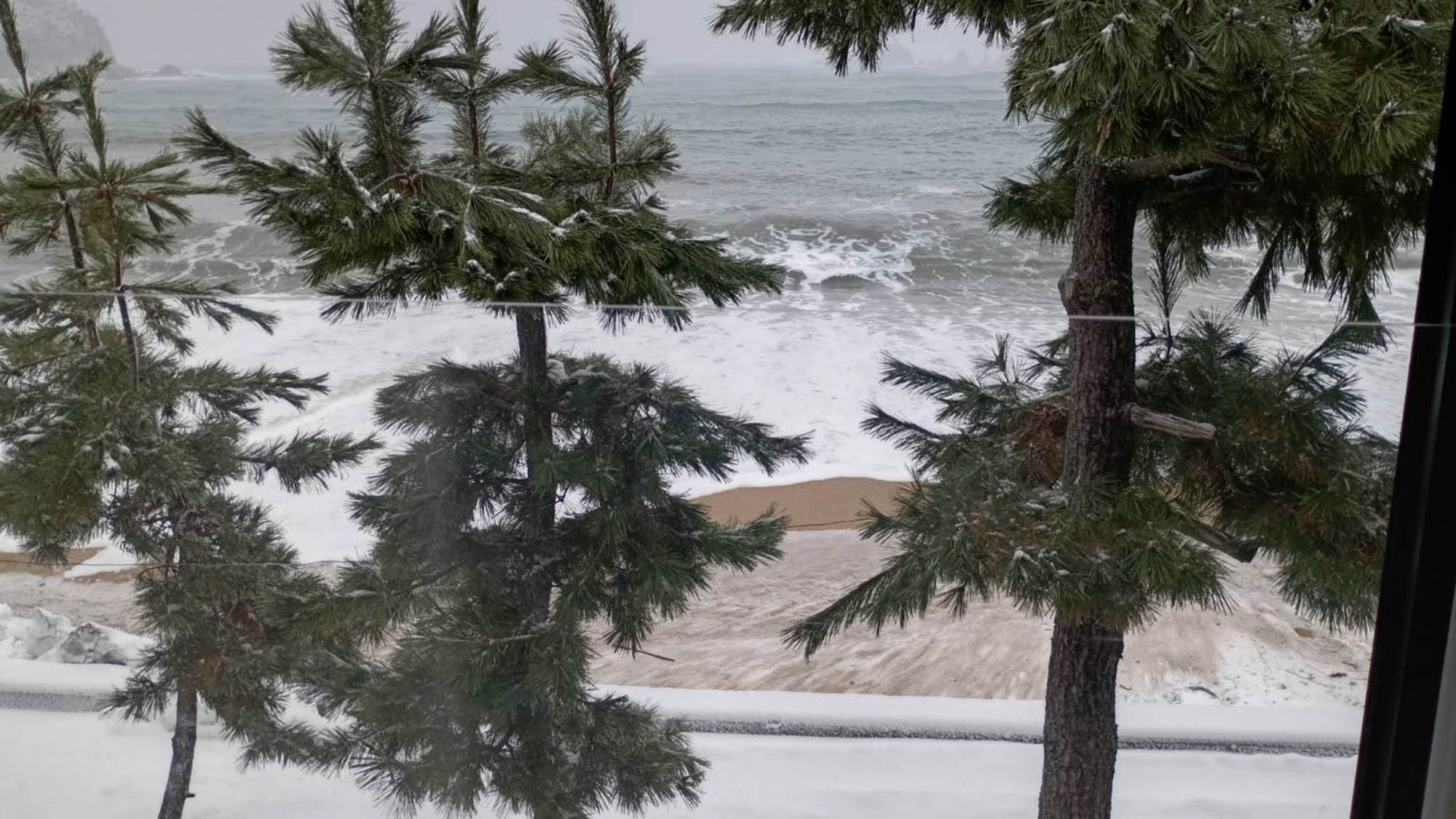 ２階海側客室からの冬の景色