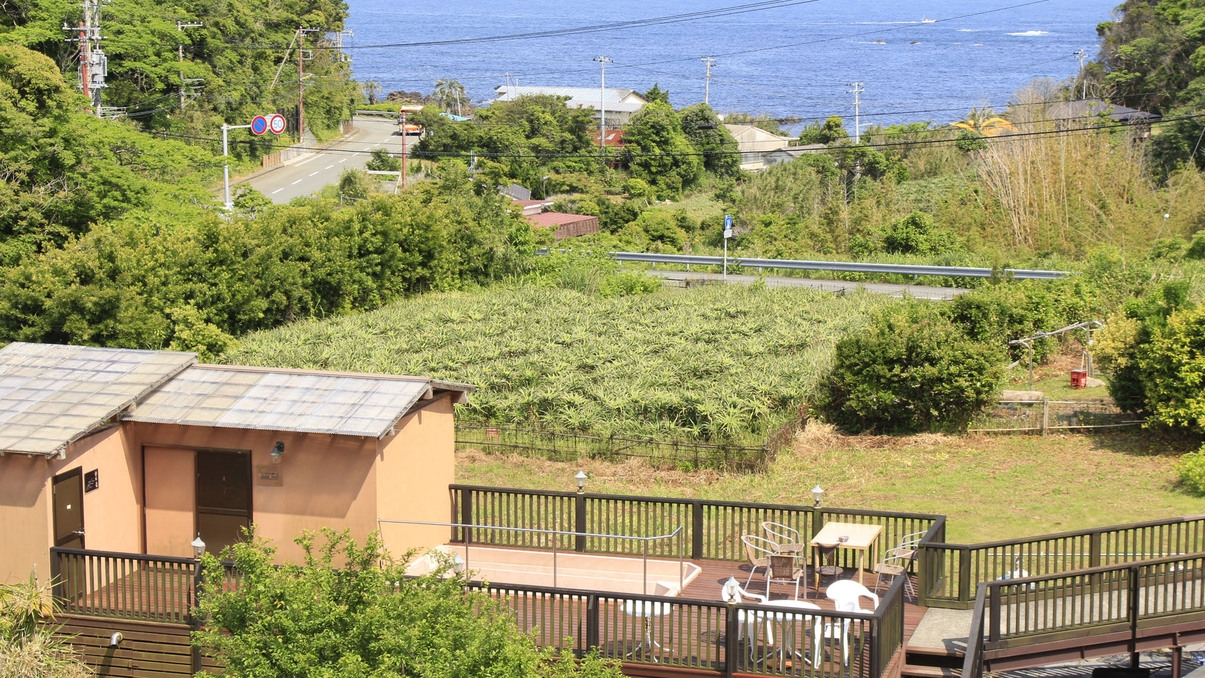 【夕食付】金目鯛の姿煮＆地サザエ＆地魚を味わう静岡県産三枚看板が楽しめるプラン（1泊夕食付）