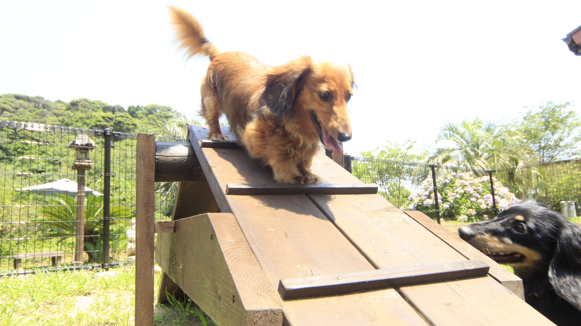 【早期割60】60日前までのご予約でお一人様1，000円OFF☆スタンダードプラン（1泊２食付）