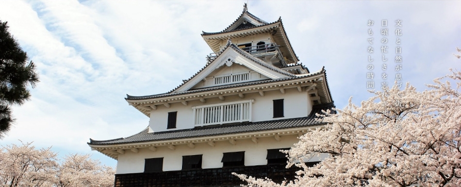 1日5室ネット予約限定　1月限定プラン【朝食付】.