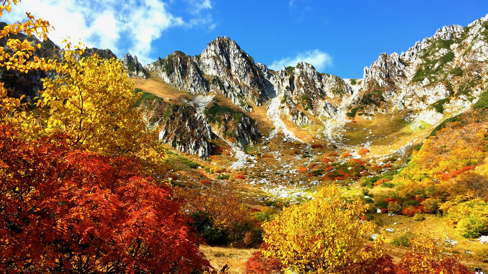 【秋の千畳敷カール】