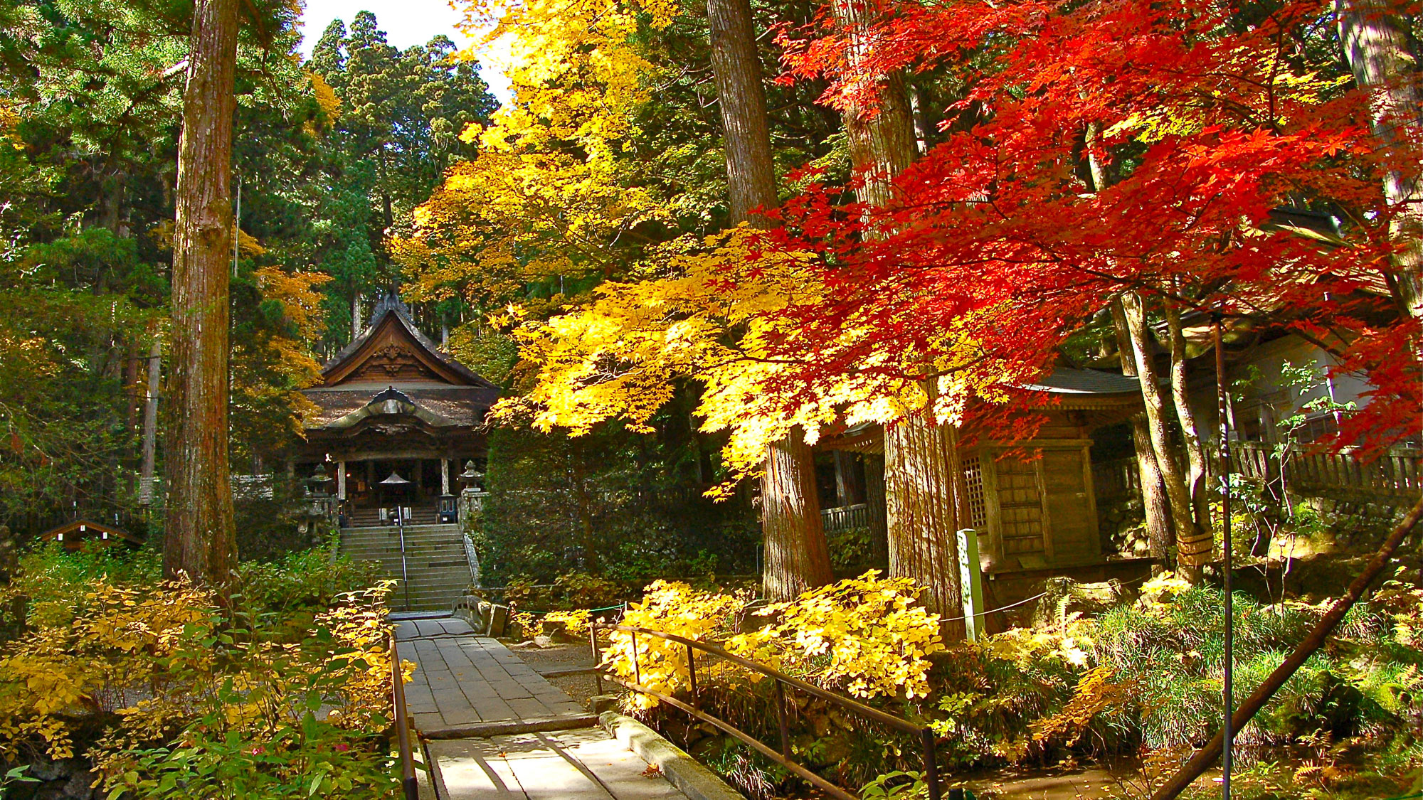 【秋の光前寺】