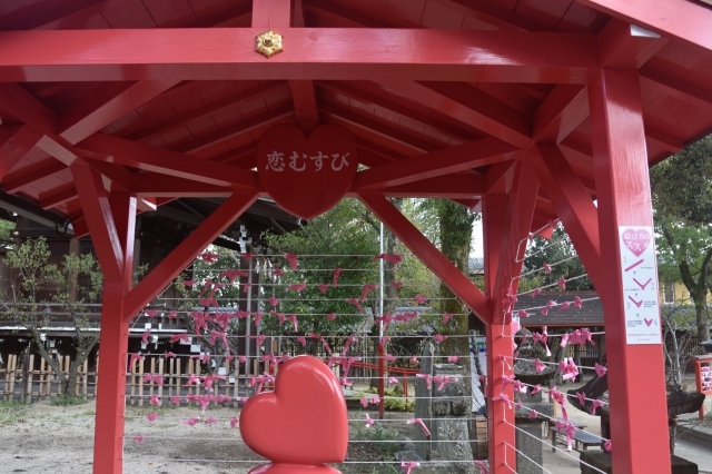 【2月限定でお得】ワンドリンク付★感謝祭プラン！福岡名物「もつ鍋」が味わえる一人鍋プラン（2食付）