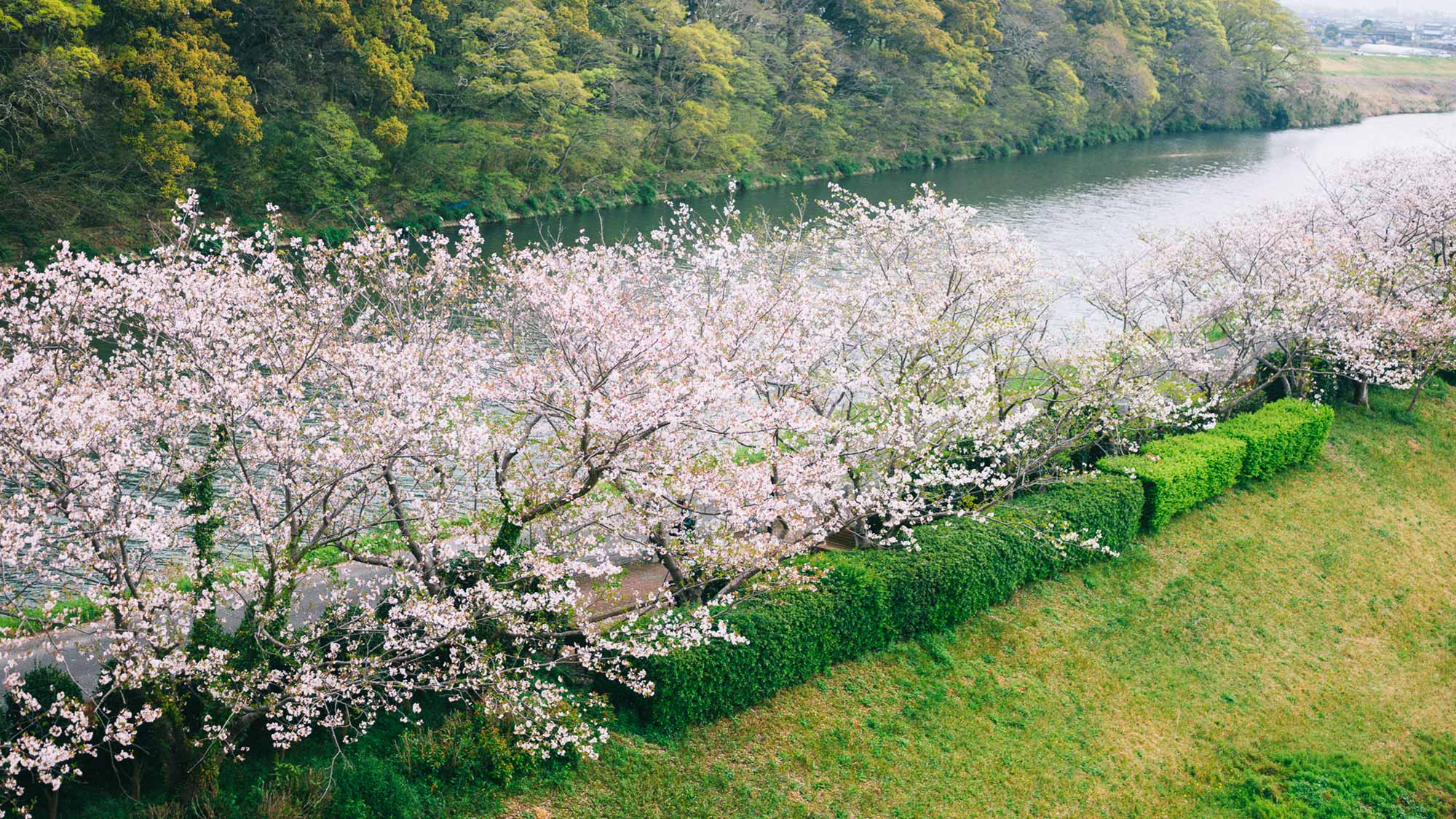 【風景】