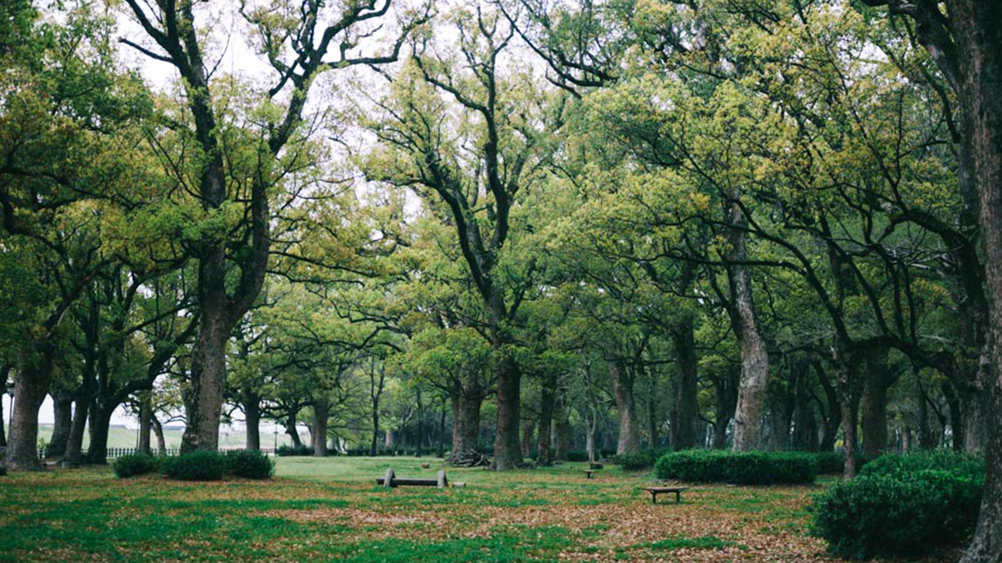 【風景】