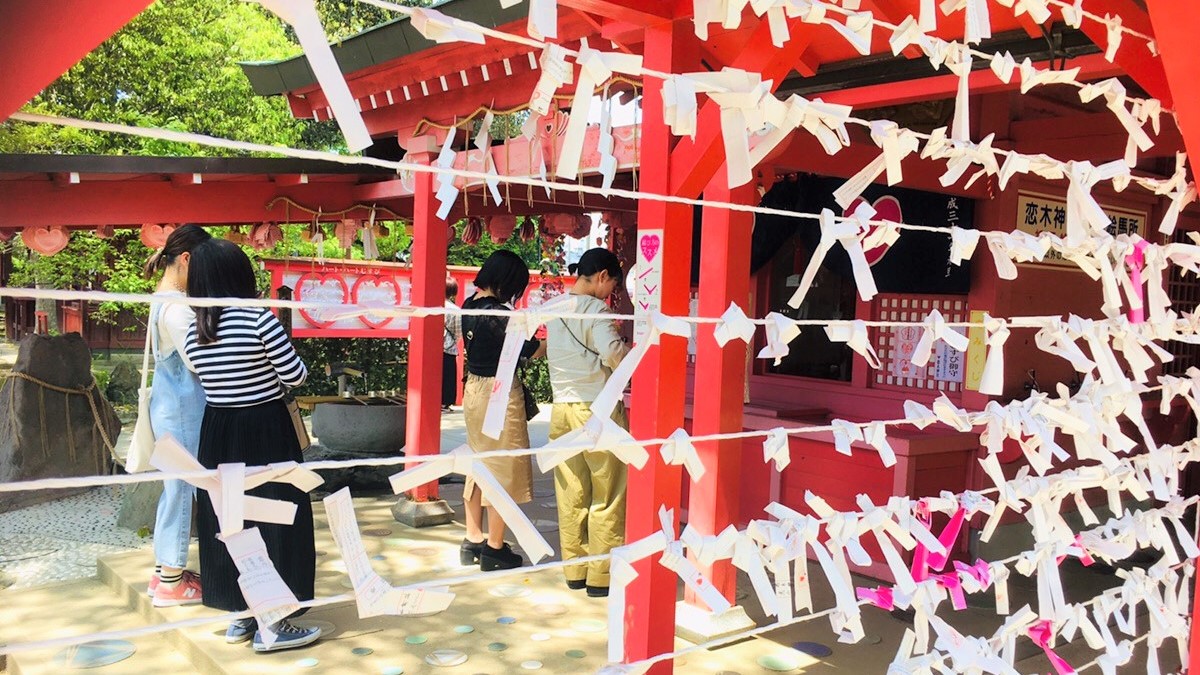 【周辺観光】恋木神社では、2・3・10・11月はおみくじの色がピンクに変わります。（良縁成就祭）