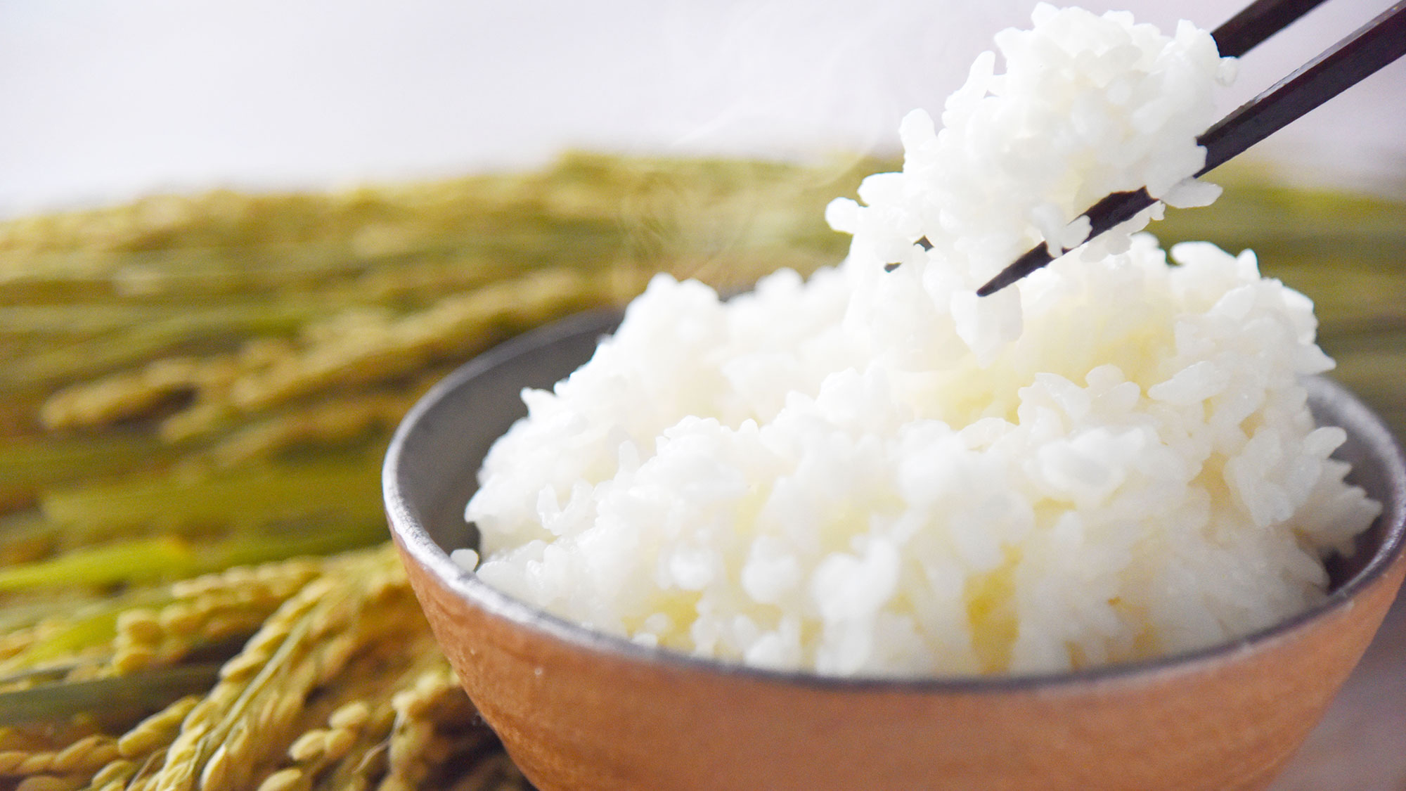 【朝食】福岡県産「ヒノヒカリ」を使用した炊き立てご飯