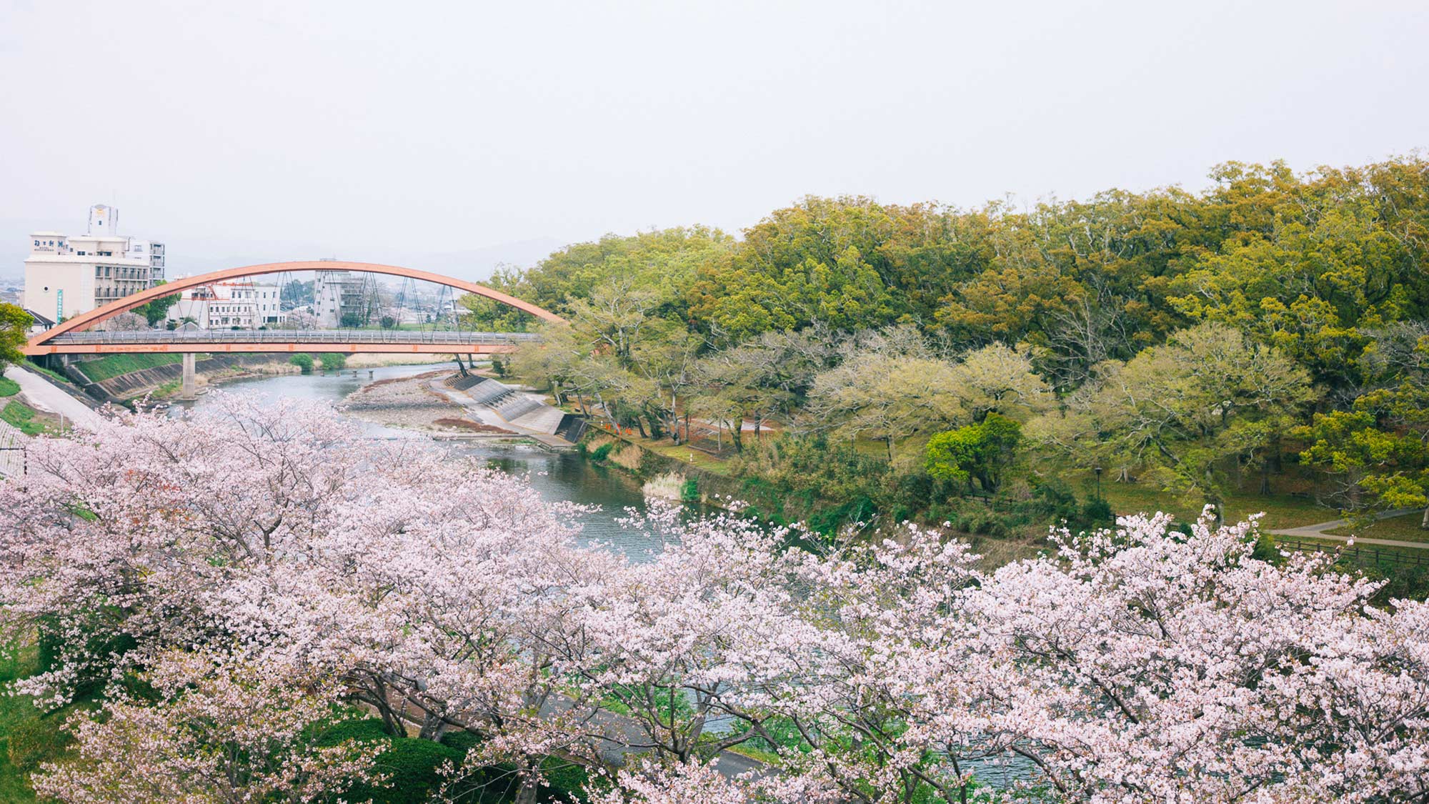 【風景】