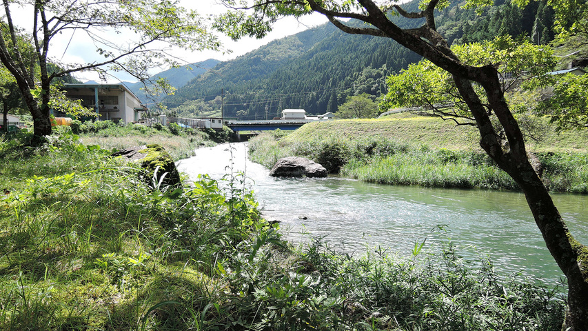 【素泊まり】自然がある静かな旅館で家庭的なおもてなし。自由気ままに滞在♪（現金特価）