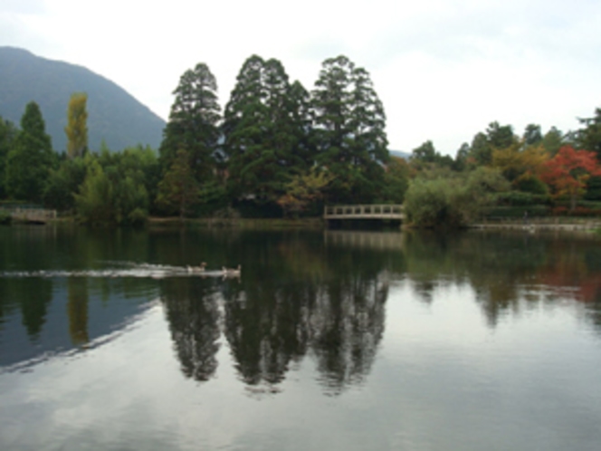 金鱗湖(イメージ)