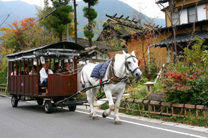 辻馬車(イメージ)