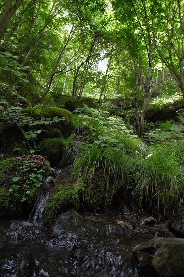 【GW限定】小学生以下のお子様連れファミリーが対象〜スペシャルファミリープラン〜ミニ会席〜