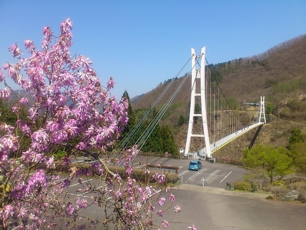 GW直前【4月29日と4月30日2日間限定】スペシャルプライスプラン■〜ミニ会席コース〜1本付