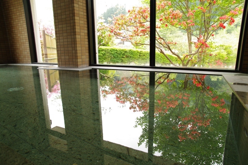 【GW限定】小学生以下のお子様連れファミリーが対象〜スペシャルファミリープラン〜ミニ会席〜