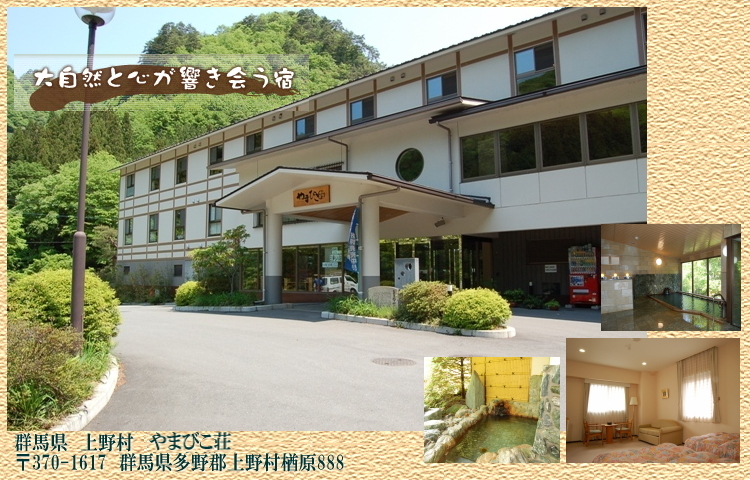 写真1