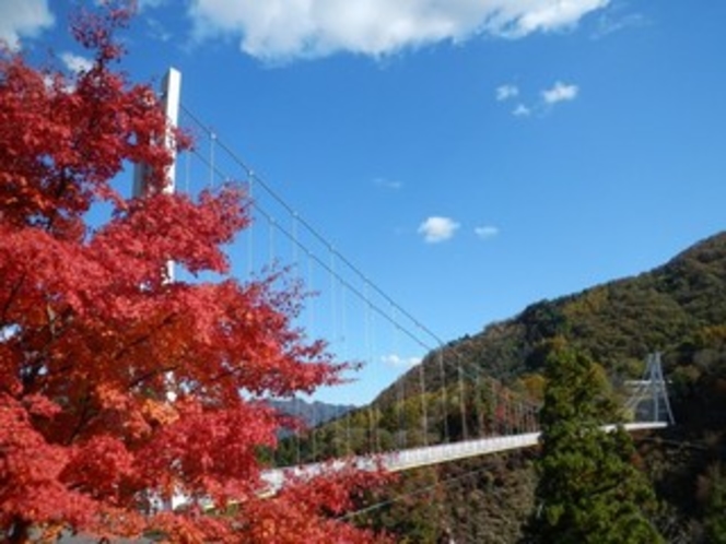 上野スカイブリッジと紅葉