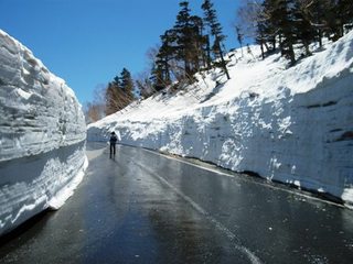 春山バスに乗って雪壁を見に行こう♪