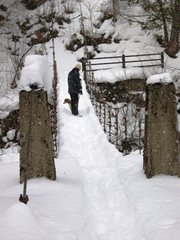 冬の楢の木の吊り橋