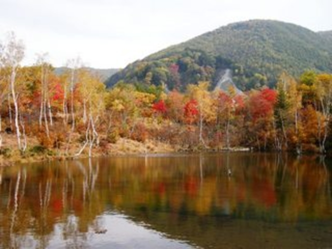 「まいめの池」の紅葉。