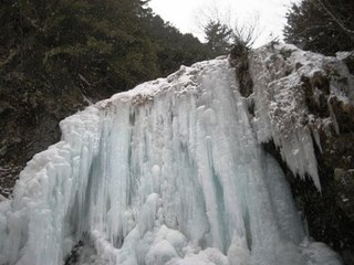 凍った善五郎の滝。