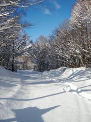 新雪と青空♪