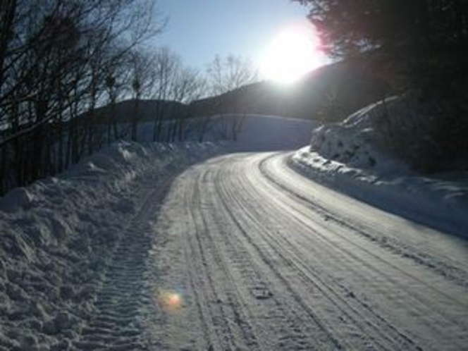 いがやまでの散歩道