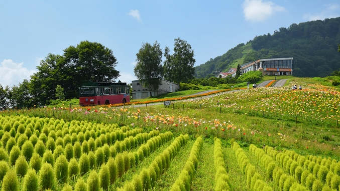 「佐渡島の金山」世界遺産登録１周年記念【豊かな自然】素泊まり【ドッグラン有／ペット同宿可／無料朝食】