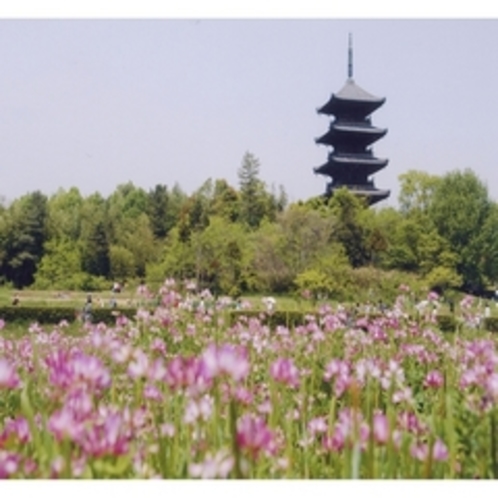 備中国分寺『五重の塔が有名な備中国分寺は四季によって様々な表情を見ることができます。』