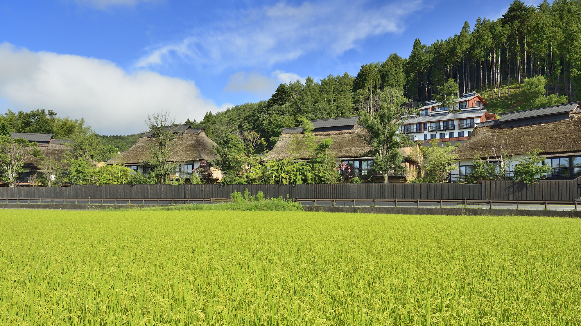 田園風景と宿泊棟～夏～