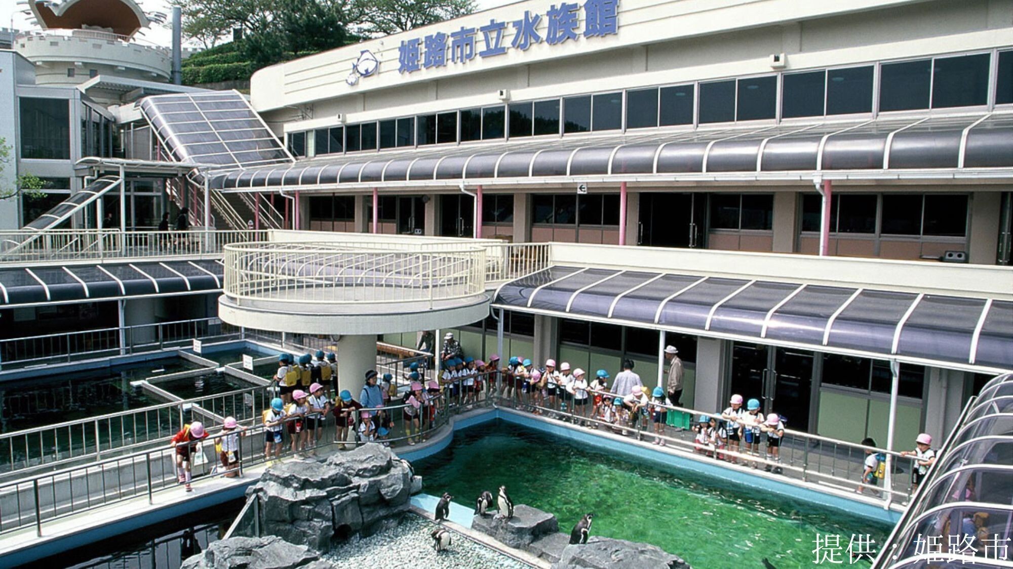 【観光画像】姫路市立水族館