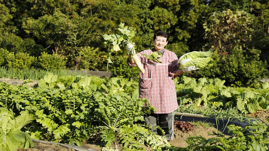 自家農園で季節の野菜も育てています