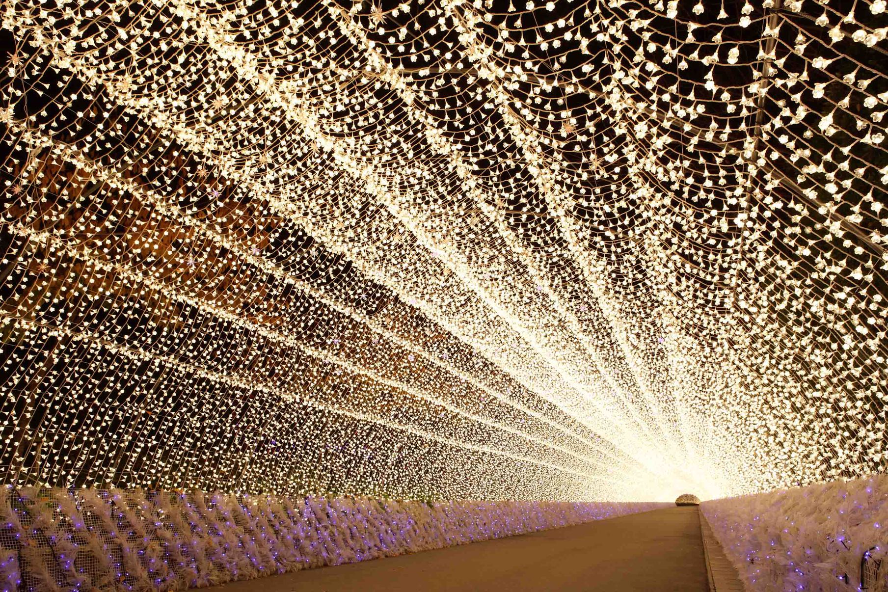 写真6