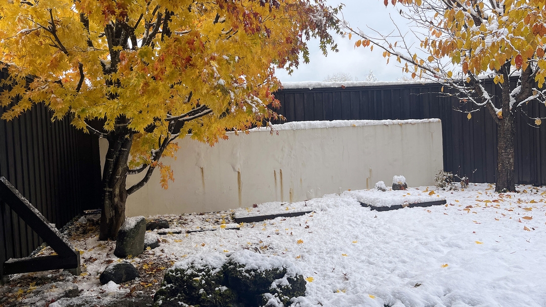 ［1泊2食付き］期間限定◆地元ブランド美瑛豚のしゃぶしゃぶ