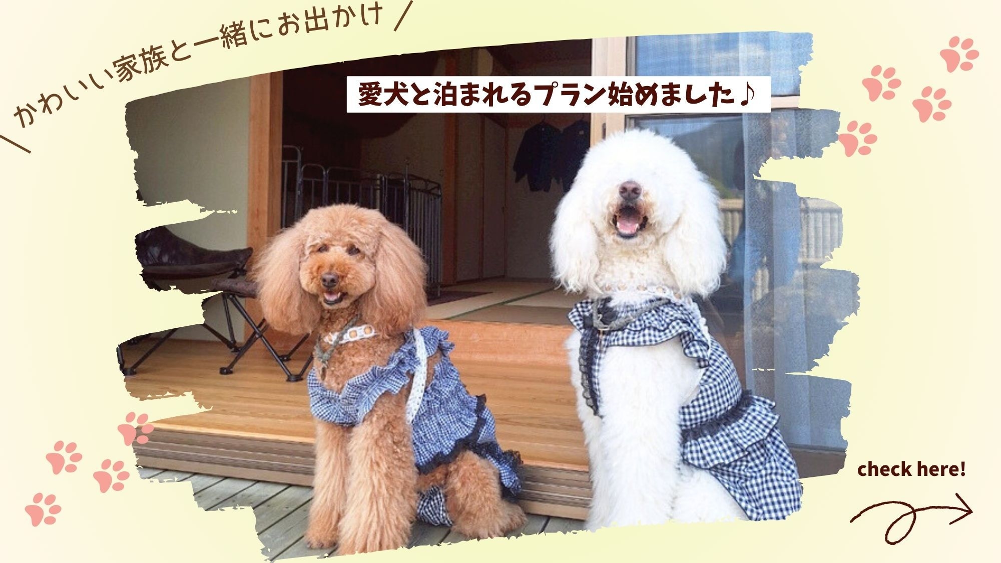【愛犬と一泊】いぬ旅日和 U。・ェ・。U 〜大切な家族と過ごす休日〜【素泊まり】