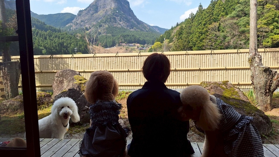 【愛犬と一泊】いぬ旅日和 U。・ェ・。U 〜大切な家族と過ごす休日〜【素泊まり】