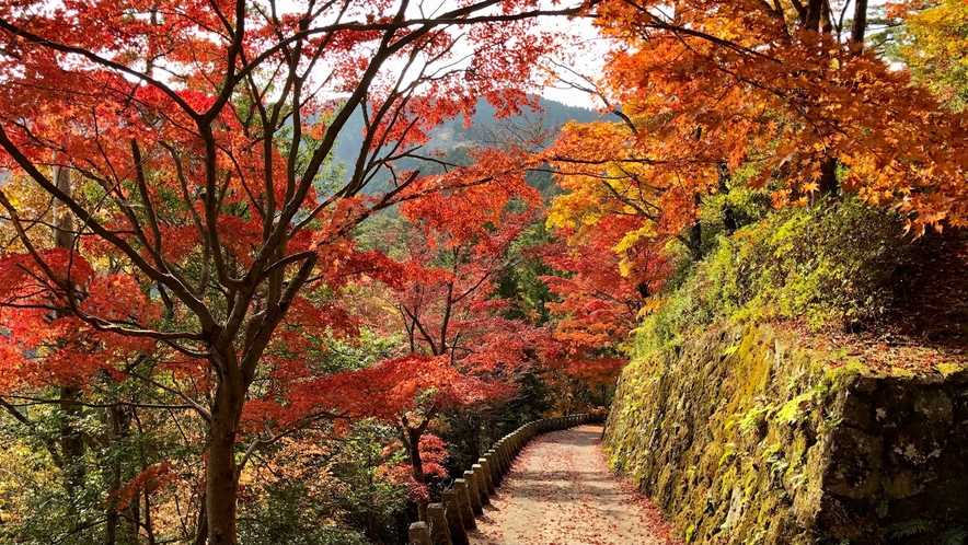 高城山展望台