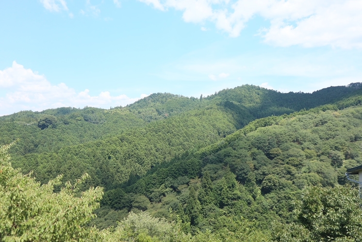 吉野山　夏の新緑