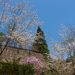 ◆景観◆