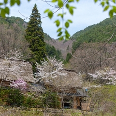 ◆景観◆