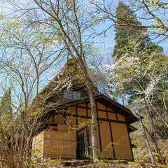 ◆客室◆苅安・位山