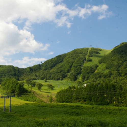 夏のハチ高原（イメージ）