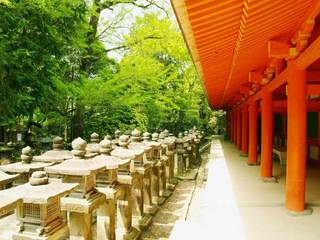 世界遺産　春日大社