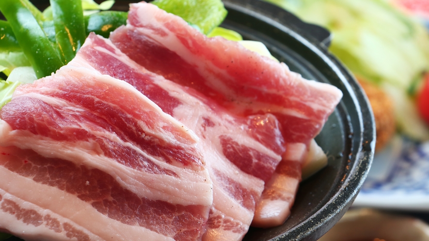 夕食一例／豚肉と野菜の陶板焼き