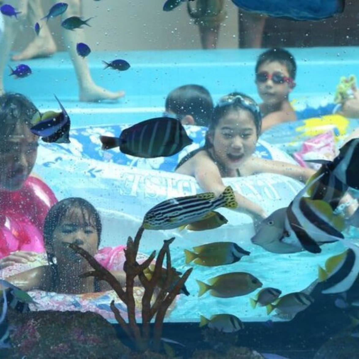 ◆いわき旅クーポン配布中◆【「環境水族館」アクアマリンふくしま１日入場券付】リゾートブッフェ