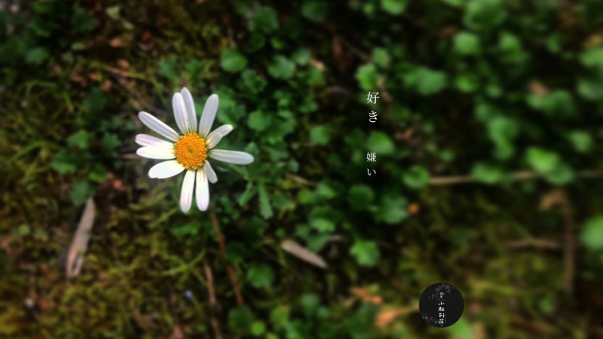 ★花衣〜Hanagoromo〜懐石★四季折々の贅沢な味覚をお楽しみいただける１番人気の絶品プラン★