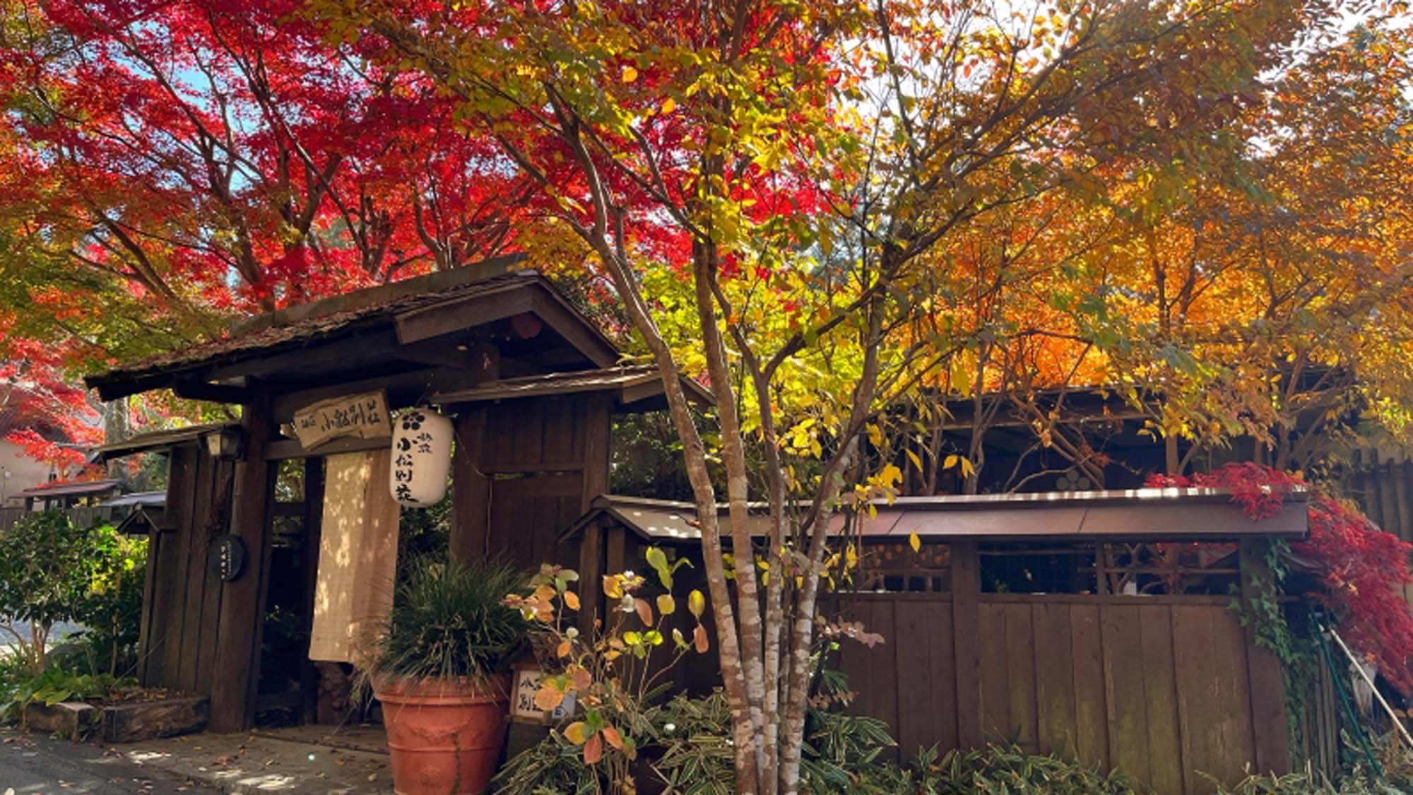 小松別荘は紅葉の時期もお楽しみいただけます。