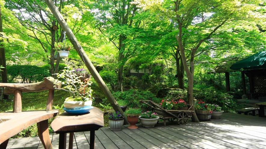 【庭園】当館の最も特徴的なスペースがこちらの庭園です。