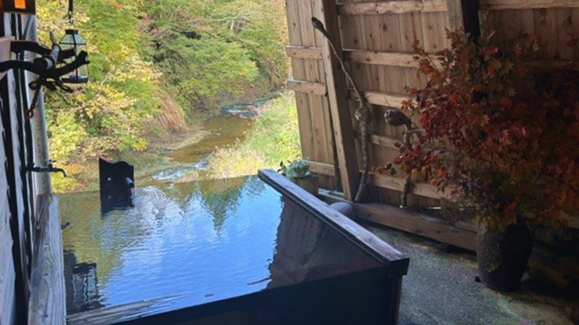 【12/27〜1/3限定】◎目玉企画！季節の恵みを満喫: 特別年末年始プラン/2食付