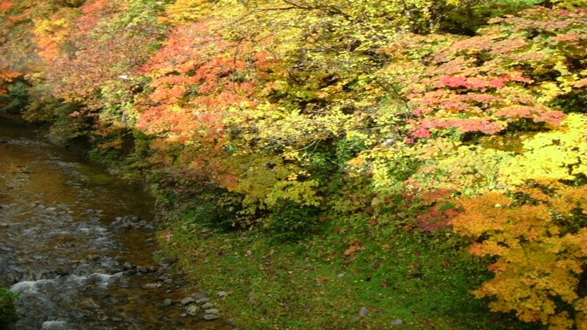 ３種の選べるご夕食◎せせらぎの温泉で満喫プラン♪／1泊2食