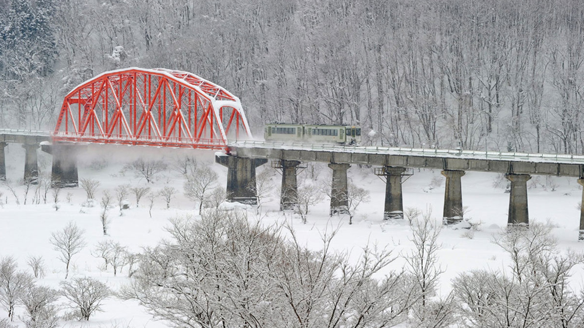 *雪景色と錦秋湖の赤い橋とのコントラストは名撮影スポットです。